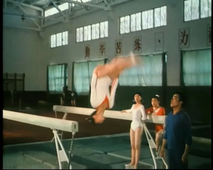 乳燕飞1979