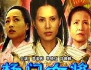 杨门女将11情定穆柯寨 2004 国语无字
