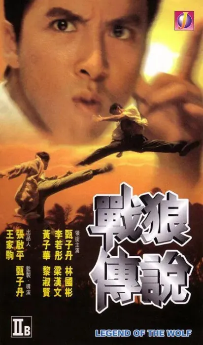 甄子丹动作电影