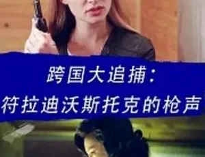 2016跨国大追捕：符拉迪沃斯托克的枪声 动作犯罪大片 国语中字 全1集