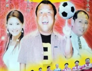 防守反击 2000年大陆经典国语电影高清收藏版