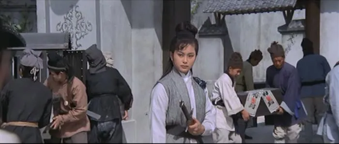 郑佩佩 武侠片