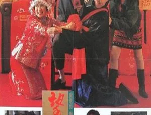 1990 香港电影 望夫成龙 Love Is Love 周星驰 吴君如 成奎安 国粤双音轨 中文字幕 BD1080P高清