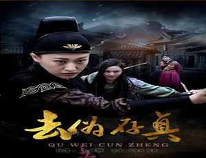 去伪存真 2017中国电影 普通话高清版