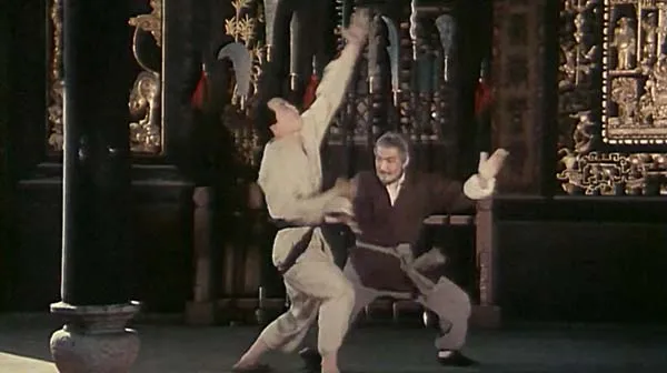 武当1983电影