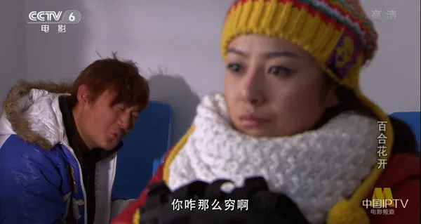 百合花开2011
