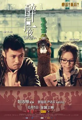 醉后一夜 电影