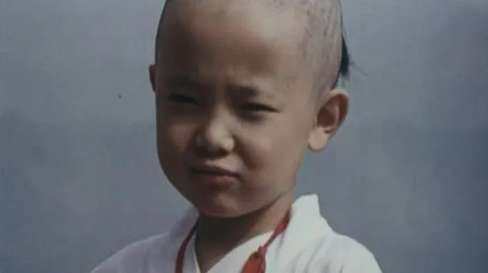 鬼狐 1993