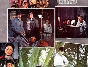 1981中国内地经典电影潜影 国语无字幕 DVDRip高清修复-蓝海网