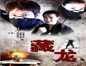 2007中国大陆经典武侠电影藏龙 汉语普通话高清版巴黎假期 2015中港合拍 汉语普通话高清电影