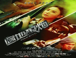 遍地狼烟 2011 中国大陆战争片 高清完整版 普通话