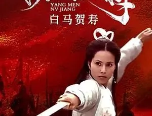 2001杨门女将之白马贺寿 古装历史武侠经典 汉语普通话高清完整版