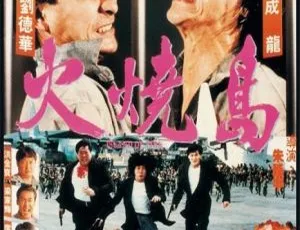 1991台湾火烧岛国语中字1080P 成龙刘德华洪金宝梁家辉叶全真-蓝海网