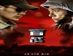 2018中国大陆动作片盲战 普通话高清完整版-蓝海网