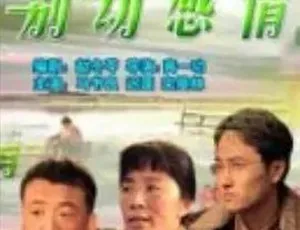 法官老张轶事之别动感情 2006年 剧情喜剧 汉语普通话 全1集