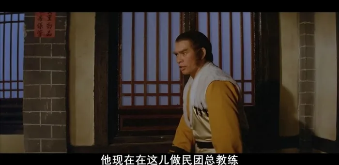 洪拳宗师电影