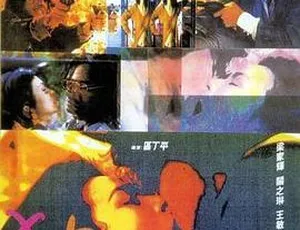 狂野生死恋 1995香港动作爱情电影 国语中字 MKV高清1989刘德华香港电影同根生国语无字MKV-2.7G