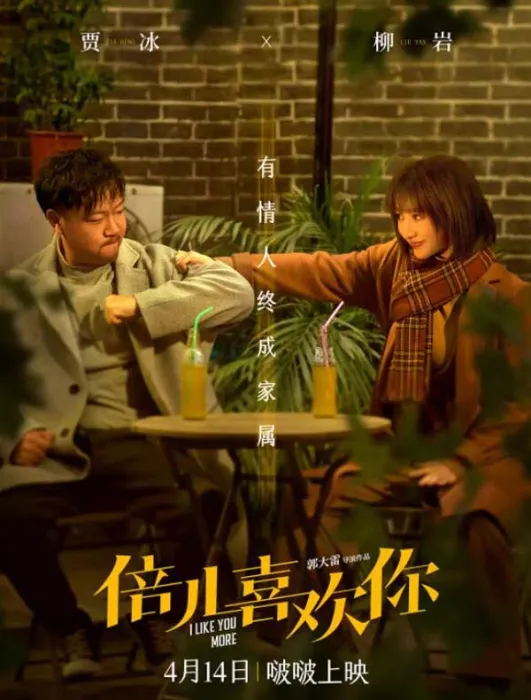 柳岩贾冰