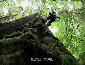 树屋大师第一季全8集 1080P高清英语中字纪录片