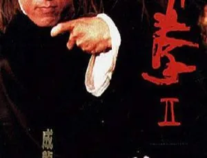 醉拳2 1994 成龙梅艳芳黄日华狄龙 国语中文字幕 高分动作喜剧