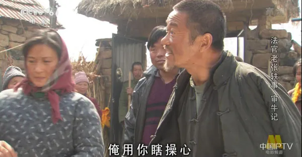 法官老张审牛记