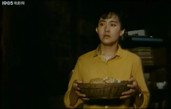 凤凰琴 1994电影