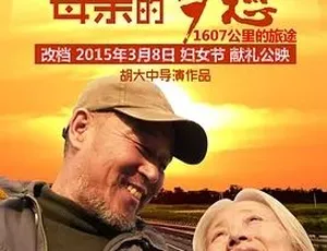 母亲的梦想 家庭剧情 国语高清