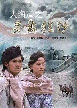 丝路古墓护宝传奇