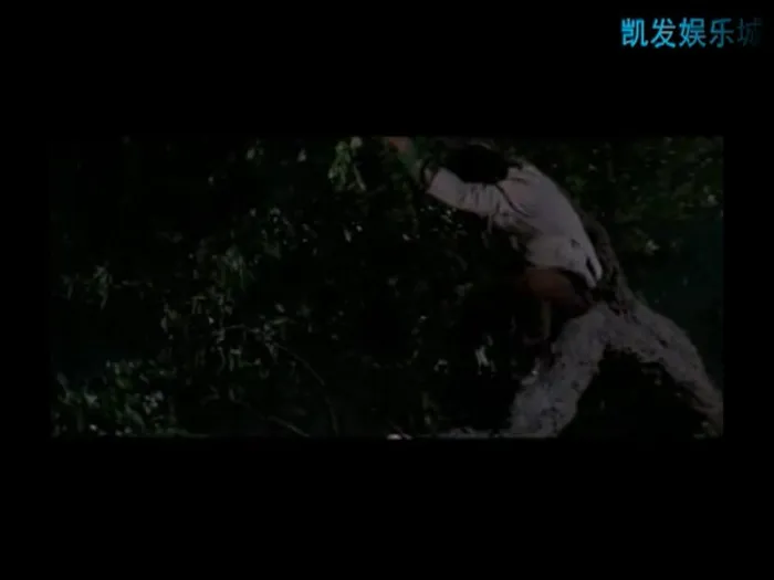 邵氏喜剧电影 1972