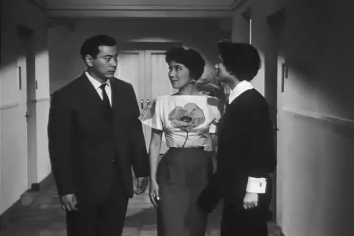 玉楼三凤1960下载