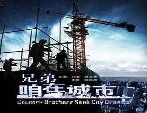 2009兄弟咱在城市 汉语普通话 中国大陆都市剧完整版-蓝海网
