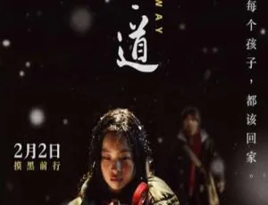2017高分剧情片盲道 国语中字