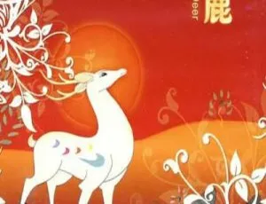 1981 经典动画九色鹿 中国大陆 国语中字