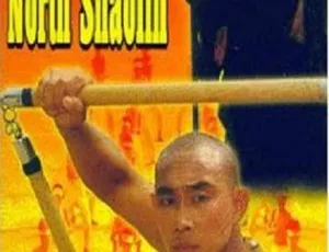 北少林南跆拳 1984 港台国语功夫片 卡萨伐 韩鹰 无字幕版本-蓝海网