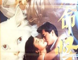 1991香港恐怖电影九命怪猫九命猫女国语中英字幕
