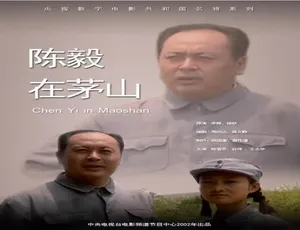 陈毅在茅山 2002年 历史战争剧 国语高清美酒人生2018 国语中字 中国大陆剧情片