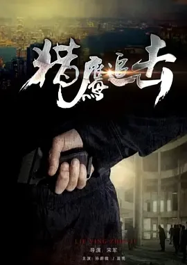 猎鹰追击2017
