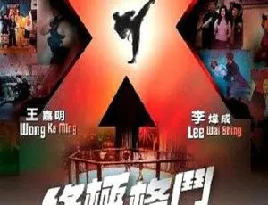 2004香港动作片终极格斗国语中字高清版