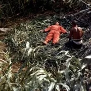 莫言 柏林金熊奖