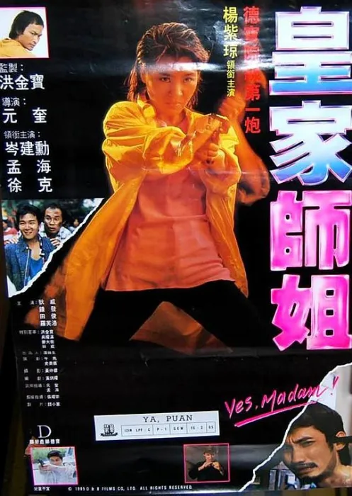 皇家师姐杨紫琼