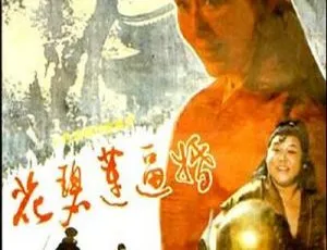 1993内地剧花碧莲逼婚国语高清李琳贾平主演-蓝海网