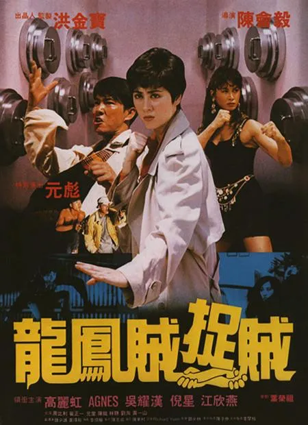 龙凤贼捉贼 1990