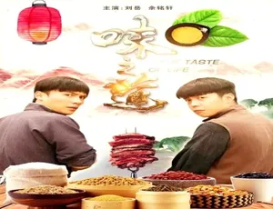 2018中国大陆美食纪录片味之道汉语普通话高清