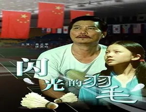 2008中国大陆剧情片《闪光的羽毛》汉语普通话高清版本