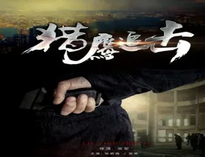 猎鹰追击 2017 中国大陆动作悬疑 国语超清版-蓝海网
