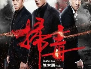 2013扫毒 刘青云张家辉古天乐袁泉主演 国粤双语内封简繁字幕