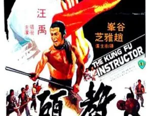 1979香港邵氏经典教头国粤双语无字幕高清修复-蓝海网