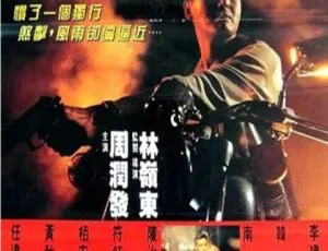 1992中国大陆动作片《侠盗高飞》国语中字高清完整版