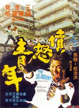 愤怒青年 1973 电影