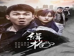 辑枪 2017国产犯罪动作片 普通话高清完整版